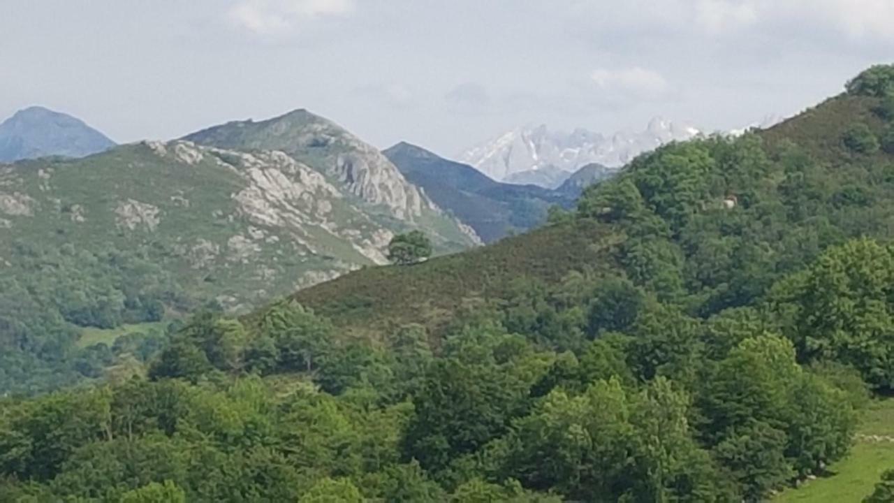 Apartamentos La Guertina Cangas de Onis Luaran gambar